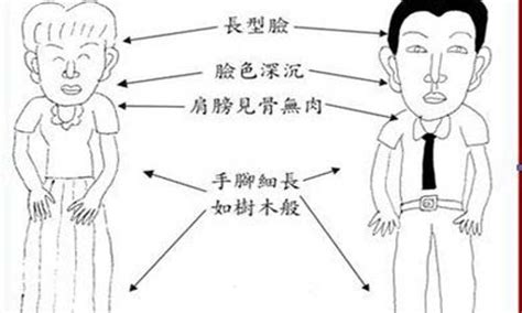 木型人顏色|深入总结五形之木形人的相理分析 命运风水面相手相